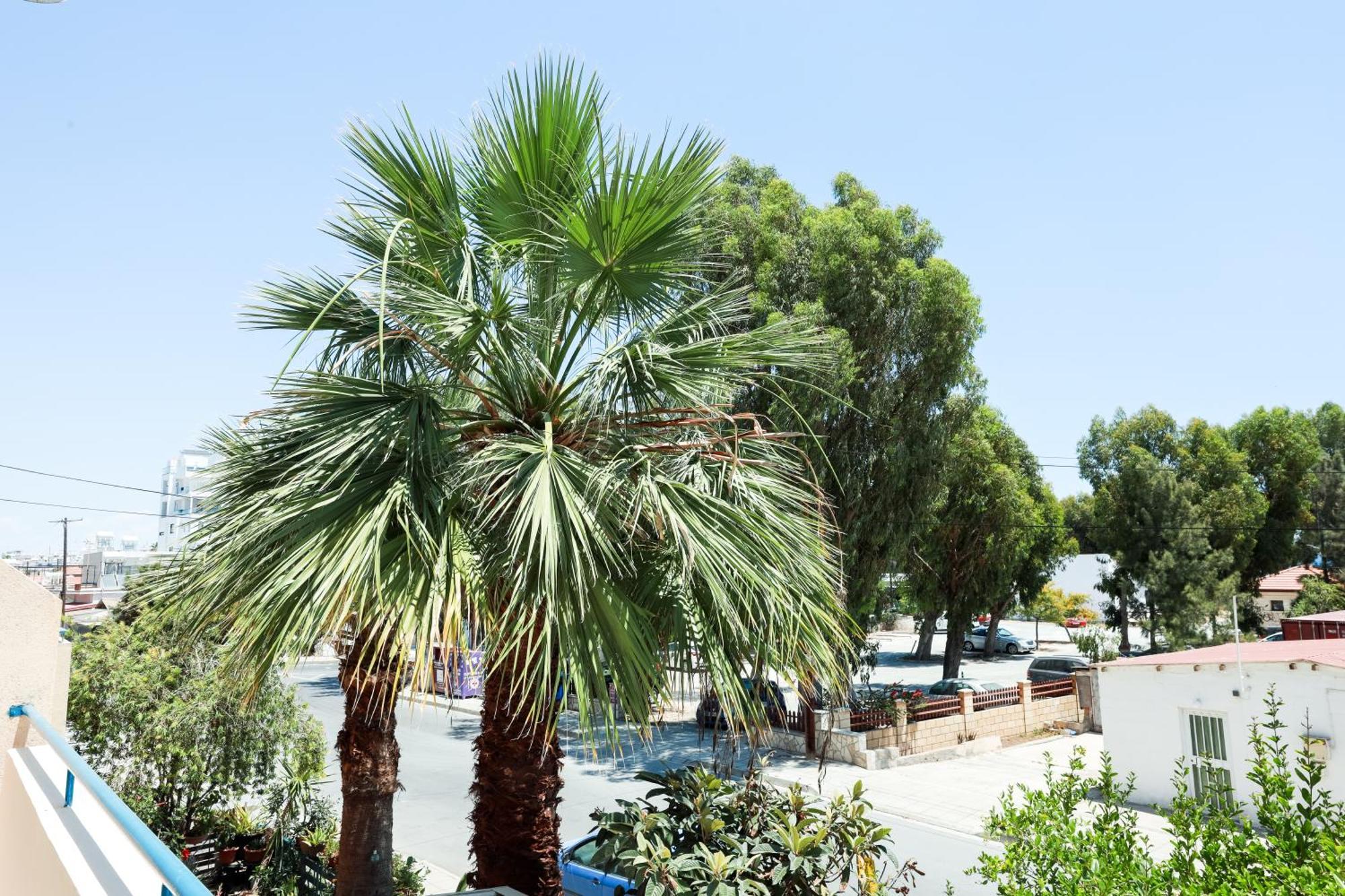 Mackenzie Apartment 101 Larnaca Zewnętrze zdjęcie